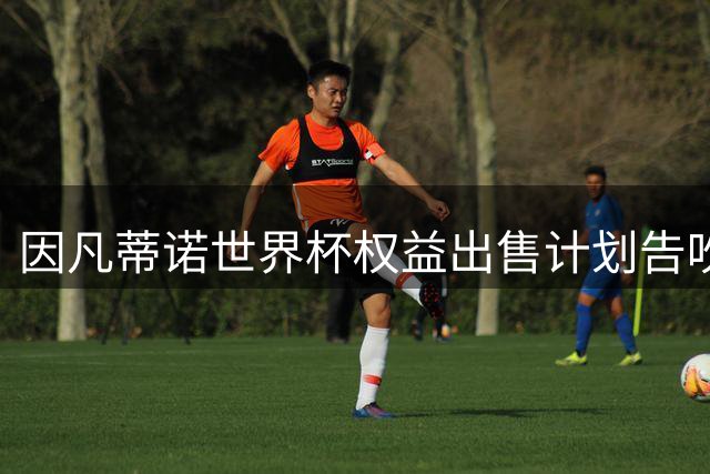 因凡蒂诺世界杯权益出售计划告吹 寻求特朗普支持未果
